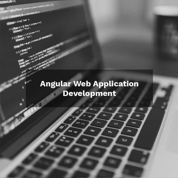 Angular Web Application Development