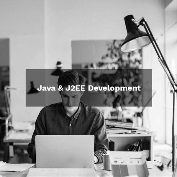 Java & J2EE Development