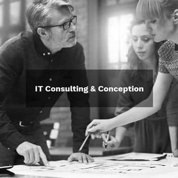 IT Consulting & Conception